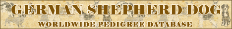 DogsFiles.com - databases of all dog's breeds.