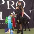 CONAN DELLA ZAIDA NERA