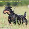 AKBEON ZADIRA AKBEON ZADIRA