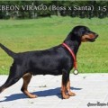 AKBEON VIGARO AKBEON VIGARO