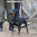 AKBEON MESSER AKBEON MESSER