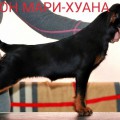 AKBEON MARI-HUANA AKBEON MARI-HUANA