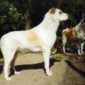 WROZKA EXODUS
