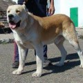 ERHAN