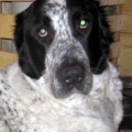 ANASHA KONCHA ZASPA