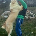 NANOOK NANOOK