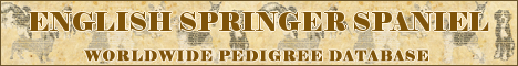 DogsFiles.com - databases of all dog's breeds.