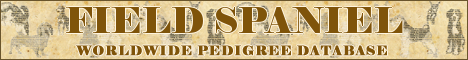 DogsFiles.com - databases of all dog's breeds.