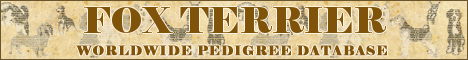 DogsFiles.com - databases of all dog's breeds.