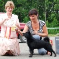NEW BLACK NELL S KRASNOY GORKI