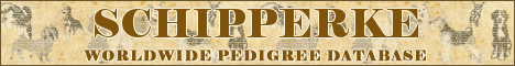DogsFiles.com - databases of all dog's breeds.