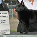 DELAMER ANGELICA O'DELORAN N'MARDECK