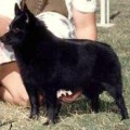 SARAH CYNTHIA SYLVIA STOUT