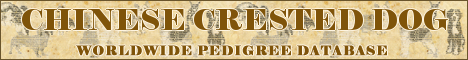 DogsFiles.com - databases of all dog's breeds.