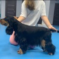 GRETTA IZ KOROLEVSTVA ANNY GRETTA IZ KOROLEVSTVA ANNY