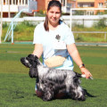 ULEYA IZ KOROLEVSTVA ANNY ULEYA IZ KOROLEVSTVA ANNY