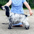 YAROMIRA IZ KOROLEVSTVA ANNY YAROMIRA IZ KOROLEVSTVA ANNY