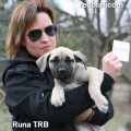 RUNA THE RED BUFF RUNA THE RED BUFF