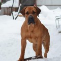 YANTARNY BEREG AH KAKAYA LAPOCHKA YANTARNY BEREG AH KAKAYA LAPOCHKA