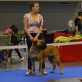 DIARA IMMORTAL HOND DIARA IMMORTAL HOND