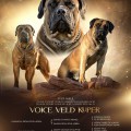 VOICE VELD KUPER