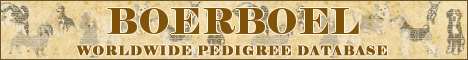 DogsFiles.com - databases of all dog's breeds.