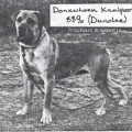 DONKERHOEK KAALPOOT