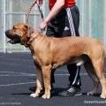 LEO FROM SOUTH AFRIKA LEO FROM SOUTH AFRIKA