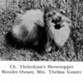 THELCOLYNN'S SHOWSTOPPER