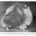 ARISTIC WEE PEPPER POD