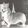 HOROKO CARALON DICKENS
