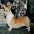 ANLEN MISS MONEYPENNY