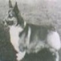 CASWELL DUSKIE KNIGHT