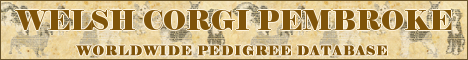 DogsFiles.com - databases of all dog's breeds.