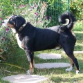 TREGOR DE LA VALLEE DES GRANDS DUCS