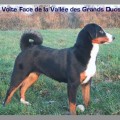 VOLTE FACE DE LA VALLEE DES GRANDS DUCS