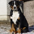 EVITA XENIA VON TUFIBACH