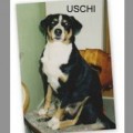 USCHI VON HOLBACH