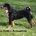 HISKA-HOLLY VON BRUNGGBERG