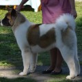 TAN-RO GERDA DAIMOND BEBI