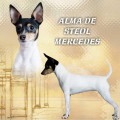 ALMA DE STEOL MERCEDES