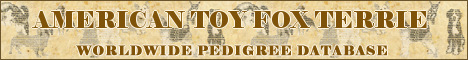 DogsFiles.com - databases of all dog's breeds.
