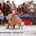 NORDZHINA ALAZIRA