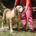 ELLE DO BORGHETTO