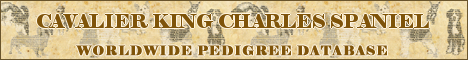 DogsFiles.com - databases of all dog's breeds.