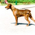 IDACO'S EVERLYN BROWN