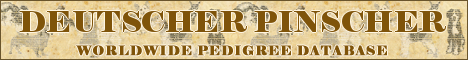 DogsFiles.com - databases of all dog's breeds.