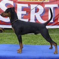 LILLA ENEBYS VICTORY FOR CERIINAN