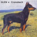 GLEN VON CRONSBACH