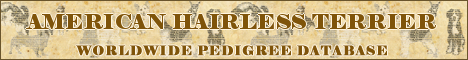 DogsFiles.com - databases of all dog's breeds.